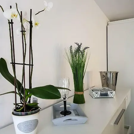 Luksusowe W Centrum Szczecina Apartmán