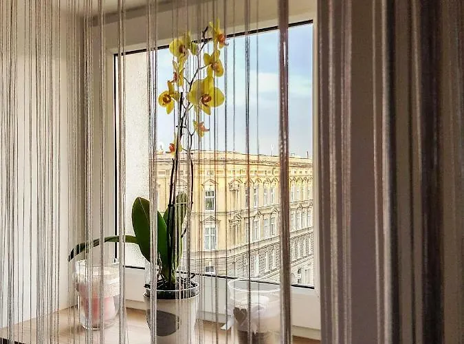 Luksusowe W Centrum Szczecina *